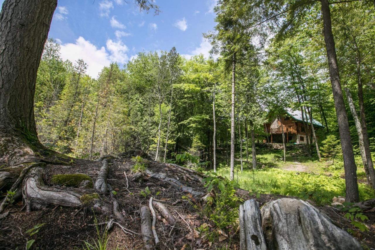 Domaine La Cedriere Villa Grenville-Sur-La-Rouge Buitenkant foto